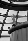 rathaus, all'interno - volo nella cupola