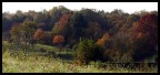 Griglia
