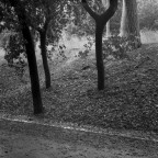 scansione pellicola fp4