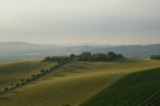 Verso Castelfidardo