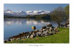 Norvegia