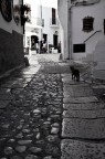 miao