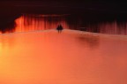 Scattata lungo il fiume Po in provincia di Mantova