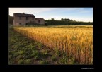 L'oro della sera
