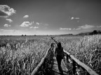 A very long walk!