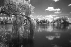 Primissima prova sul campo fotografia IR.
Nikon D80 + Filtro Cokin P007.
Tempo esposizione 10sec.@F/9