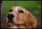 KM 5D 105 macro f2.5 1/400 iso200