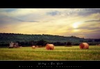 Waiting a new world... Waiting a new world...