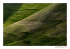 Diagonale