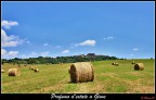Profumo d'estate a Giove - Umbria
