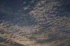 Prime foto verso il cielo con la mia nuova Reflex Nikon d3000...
si accettano commenti, consigli e critiche!!!