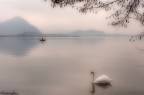 Ciao a tutti,
provo a postare la mia prima immagine per vedere se tutto va bene;
in caso affermativo,i commenti sono graditi (ed anche le critiche volte al miglioramento delle tecniche)...