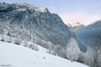 Consigli e commenti graditi.
