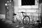 Diversamente abile
