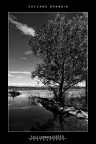 :: CAZZAGO BRABBIA... [01-02]