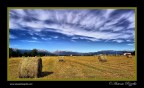 campi