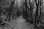Il passaggio