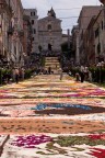 Infiorata Genzano