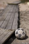 1/4000s f/2.0 ISO100 50mm (35mm eq:75mm)