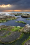 Gardens of the Sea