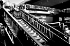 ponte a shibuya