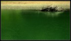 Fiume