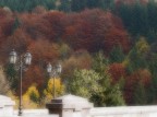 Autunno morbido