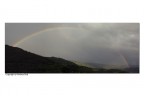 in questi giorni estivi pieni di pioggia, un piccolo sorriso da quest'arcobaleno....