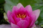1/200, f/8, ISO 200. Pentax K20D