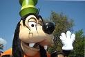 vacanza  a Disney paris!