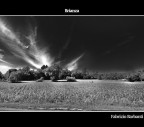 Brianza