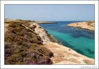 Lampedusa