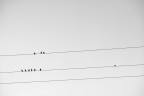 Solitudine