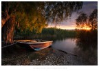 Uno scatto del tramonto di qualche sera fa sul lago di Varese. Ringrazio Fiorenzo (Cheroz) per la piacevole compagnia e la sua disponibilit! Alla prossima uscita! :)

Commenti e critiche sempre ben accetti. 

Andrea