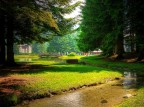al parco