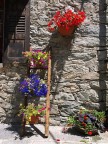 colori montani