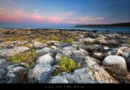Life on the rock