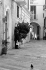 Monopoli