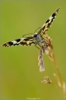 Nikon D3s 180mm 1/40 sec f/11 Iso 640