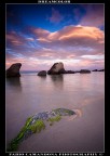 dreamcolor