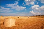 La caduta.....