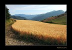 Luce sulle colline 2