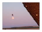 ...ON THE MOON...