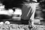 speed photo