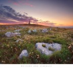Meteors and stardust Meteors and stardust