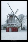 mulino