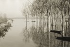 Padule di Fucecchio