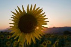 quell'ultimo raggio di sole