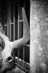 Dati: 
Iso 200 
1/4000
f 3.5 
18 millimetri del 18-55 standard kit Nikon D40 
processato in post con Silver Efex pro per ottenere l'effetto "Holga"