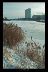 copenaghen